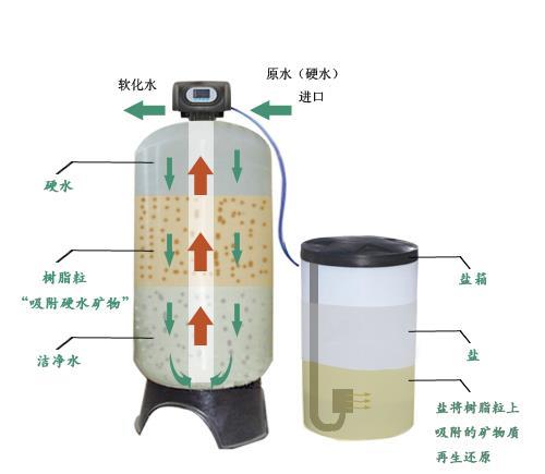 豸鿴ϸϢ